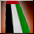 UAE Flag Cloak<MENA>